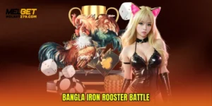 Bangla Iron Rooster Battle