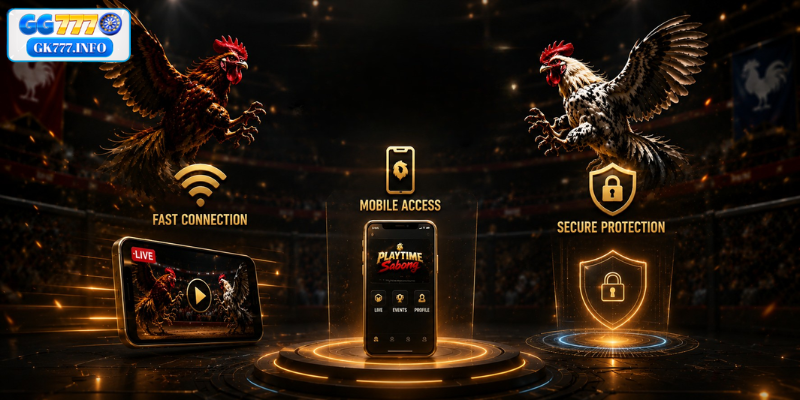 Benefits of Choosing 91PH Cockfighting