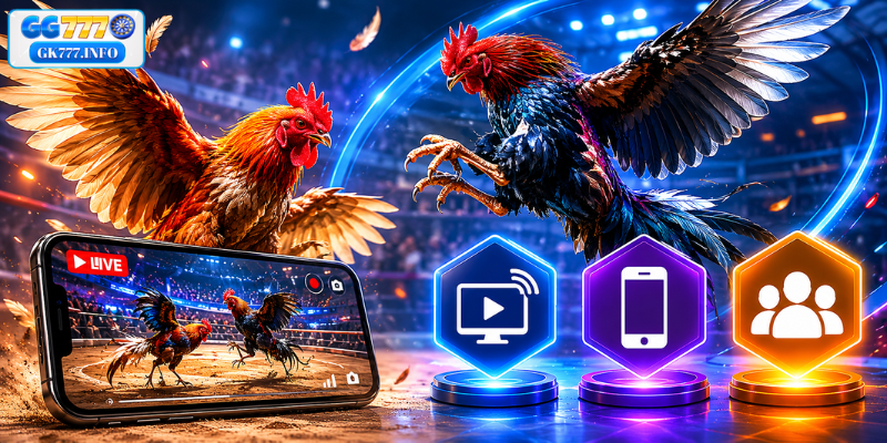 Key Features of 91PH Cockfighting