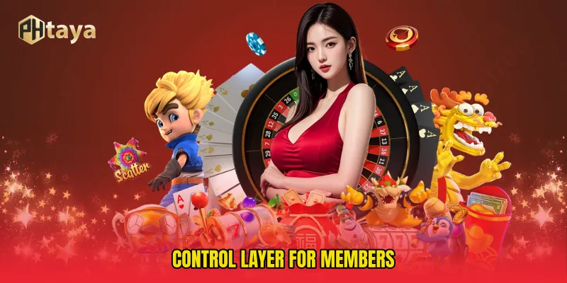 Control Layer For Members